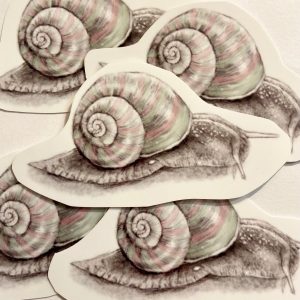 Product Image for  Snail Pencil Drawn Sticker cottage Core Garden garden art sticker garden